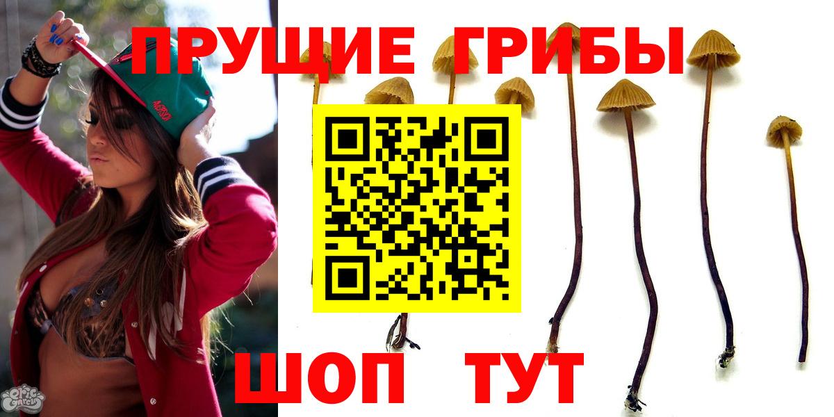 Галлюциногенные грибы Psilocybe  Вход с VPN  Новодвинск  Галлюциногенные грибы MAGIC MUSHROOMS 